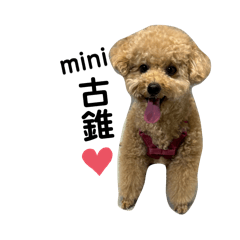 可愛mini❤️