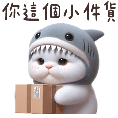 Little Shark Cat 6