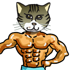 Strong physique cat