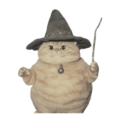 wizard cats meme