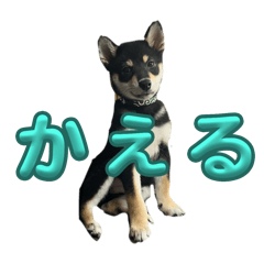 niconico_20241018151911