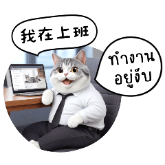 อาณาจักรแมว : เทศกาลแมวแฟนซี (จีน-ไทย)