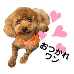 yuuko_20241018210241