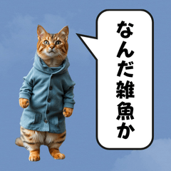 provocative line cat wearing clothes