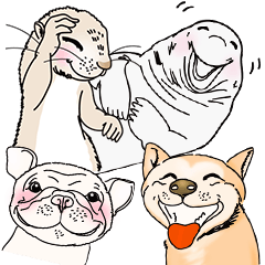 Hi!Animal