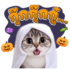 cat Halloween 2024