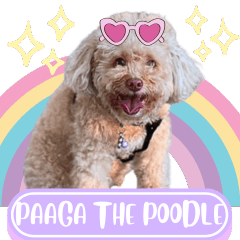 WOOFME WITH PAAGA