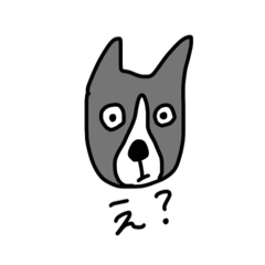 collie_