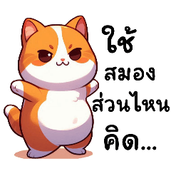 เจ้าแมวสีส้มอ้วนกลม