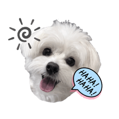 kaorin._20241019200441