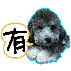 粘粘の是非對錯