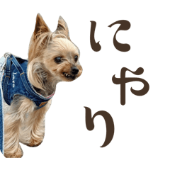 rio kobayashi_20241019205410