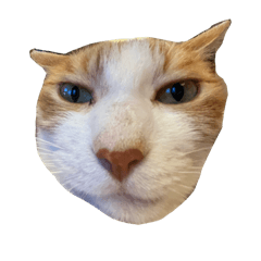 rintoro_20241019232141