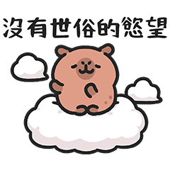 LINE VOOM × Baby capybara
