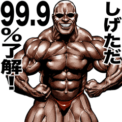 Shigetada dedicated Muscle macho sticker