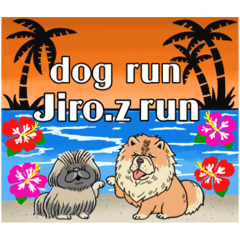 Jiro.z run_20241018083215