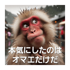 Japanese monkey with annoying face