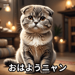 most cute cats