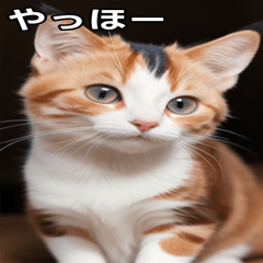 Very cute cat-