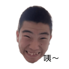 放丰真
