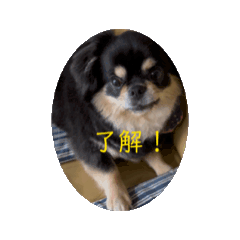 SHIMIZU_20241020215346