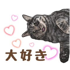 ニャン吉スタンプⅡ