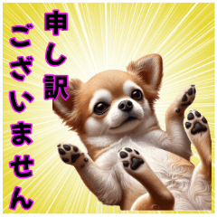 Real Chihuahua (Daily Greetings)