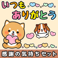 気持ち伝わる♪感謝お礼 #柴犬クッキー3