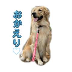 hibiwotumugu_20241019111203