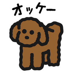 Brown toy poodle greetings