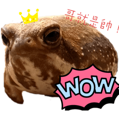 薯圓一家
