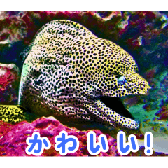 World of Fish Encyclopedia 1:Japanese