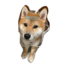くんぴすたんぷ2