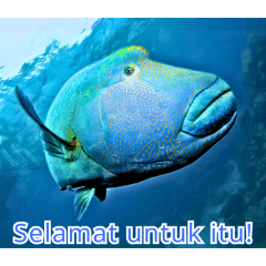 World of Fish Encyclopedia 2:Indonesian