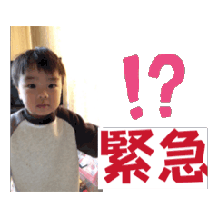 Harurio_20241019195940