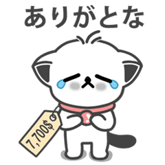 A crying cat every day (ver.Japanese)