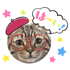 _mico__20241020091745