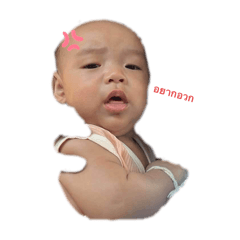 Piyakorn_20241020210109