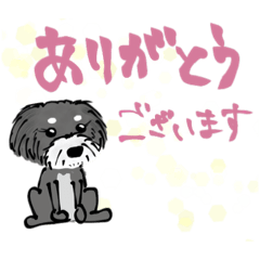 Kurumin's schnauzer sticker