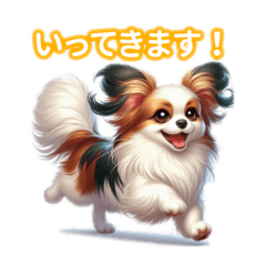 Absolutely adorable Papillon!