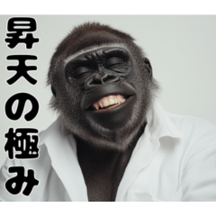 Gorilla wearing white clothes