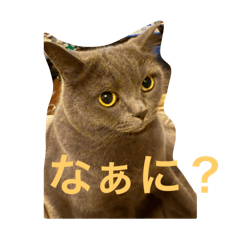 Dan_20241020205458