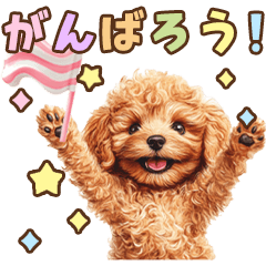 Toy poodle cute colourful sticker