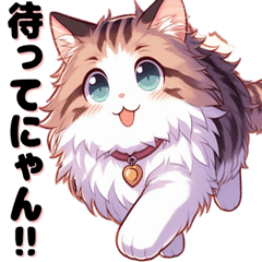 Fluffy cat Norwegian Forest Cat