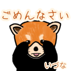 Iduna's lesser panda