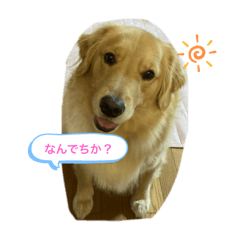 miraichan_20241020203806