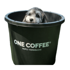 me her_20241020231021