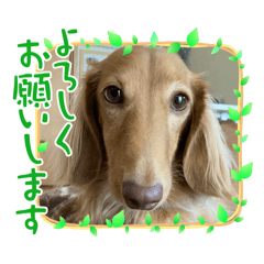 tomochan_20241020224336