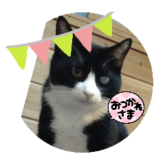 yukie_20241020232502