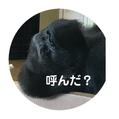 ゴリラのつぶやき語